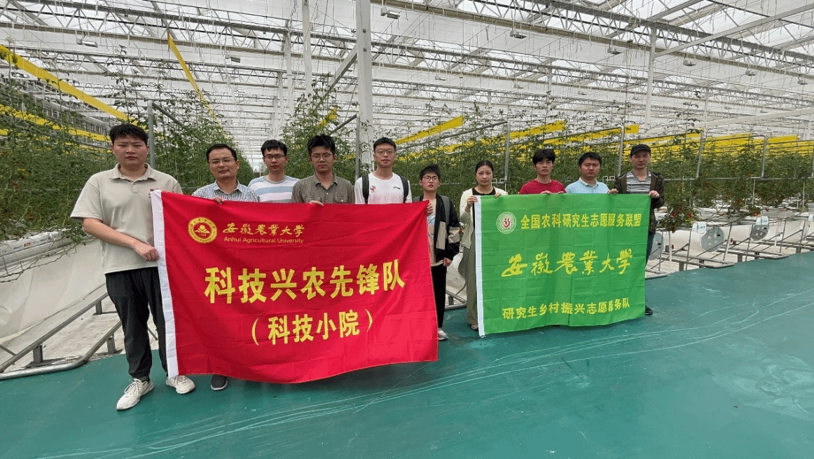 信息與人工智能學院扎實推進舒城智能蔬菜科技小院建設與信息系統運行維護服務